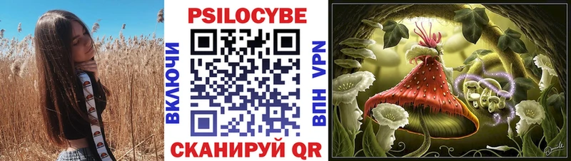 Псилоцибиновые грибы ЛСД  продажа наркотиков  Михайловск 