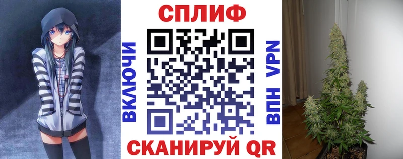 продажа наркотиков  Михайловск  МАРИХУАНА конопля 